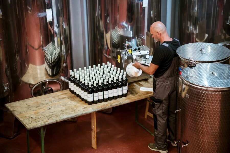 Pelješac wine tasting and local winery visit - The Food Is Part of the Main Event