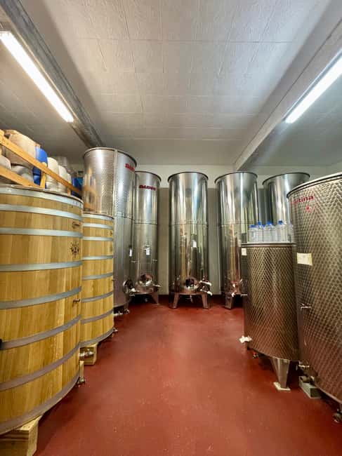 Pelješac wine tasting and local winery visit - How to Fit It Into a Ston Day
