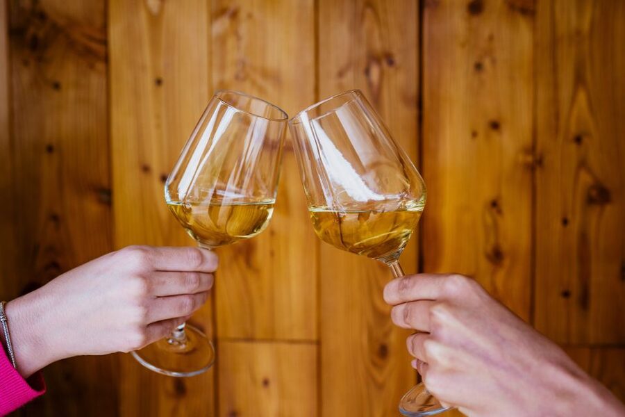 Pelješac wine tasting and local winery visit - Four Wines, With a Chance of a Fifth