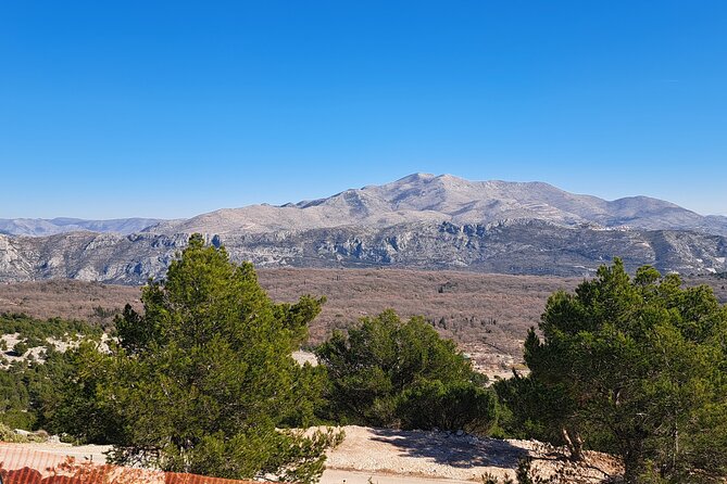 Private Customizable Tour of Croatia Via Minivan with a Guide - Is $420.82 a Fair Price?