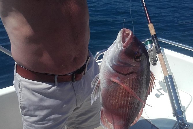 Private fishing tour - Is $467.26 a fair price for four people?