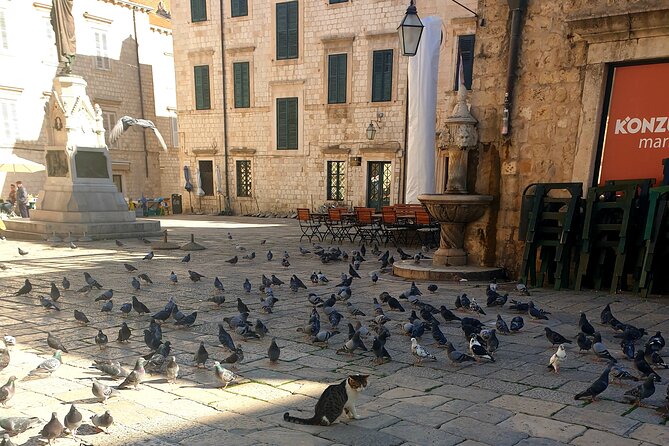 Private Fort Lovrijenac and Dubrovnik City Tour - Who should book this Dubrovnik walk?