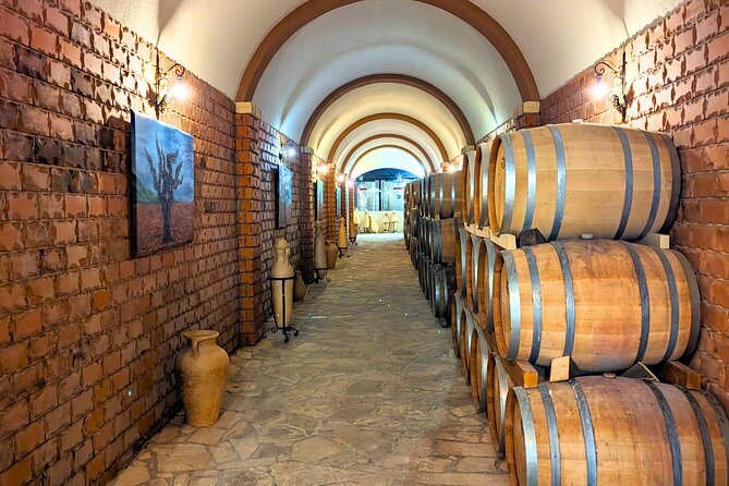 Private Full Day Peljesac Wine Tasting Tour from Dubrovnik - What makes Dingac worth trying