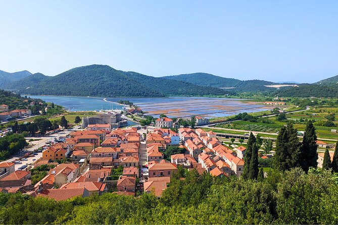 Private Full Day Peljesac Wine Tasting Tour from Dubrovnik - Who should book this private wine tour?
