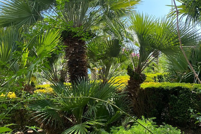Private Game of Thrones Tour with King's Landing Garden - Why this private tour works well