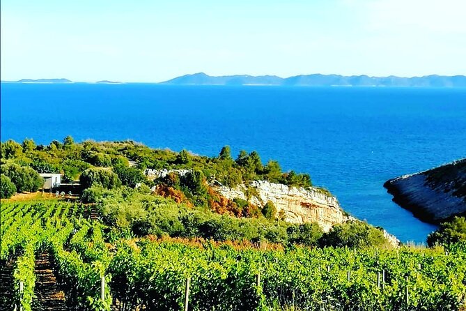 Private Korcula wine tour and tasting - Who will enjoy this three-hour outing most