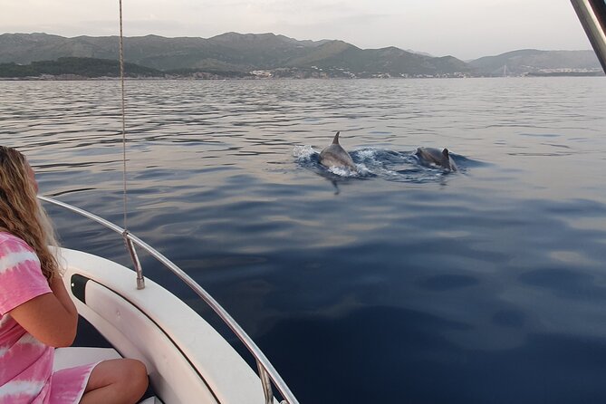Private Local Guided Speedboat Tour in Dubrovnik Archipelago - Šunj Beach gives you the sandy shore