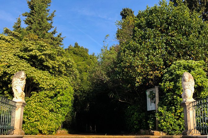 Private Lopud Walking Tour - A Ruined Noble Home and the Cost of Inheritance