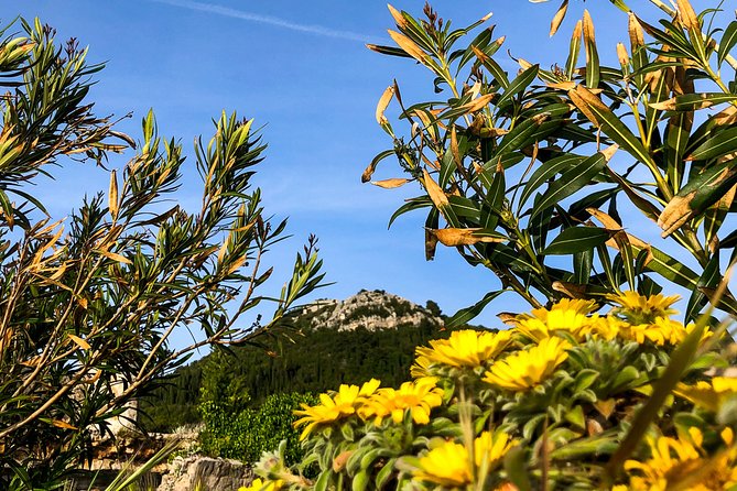 Private Lopud Walking Tour - Finishing at the Port, Šunj, or a Sunset Viewpoint