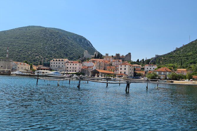 Private Oyster and Wine Tasting Day Trip along Peljesac - What the private vehicle and guide add