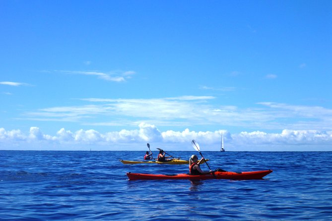 Private tour: Sea Kayaking & Snorkeling to Green Cave on Sipan island from Lopud - Optional cliff jumping, with no pressure