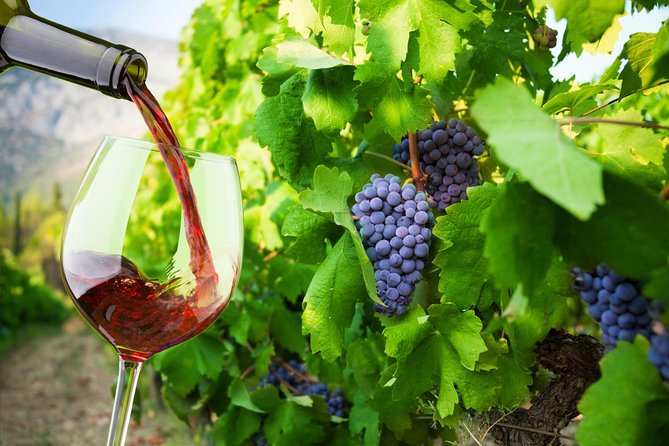 Private Tour: Ston and Peljesac Peninsula Day Trip with Wine Tasting - Key points to know before booking