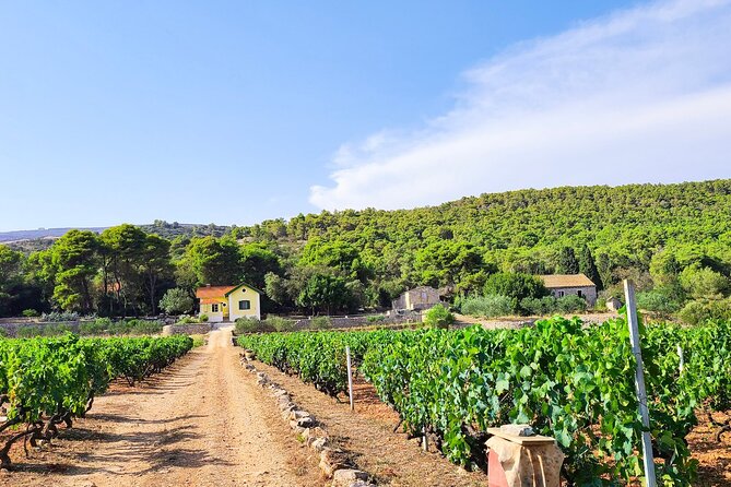 Private Wine and Gin Tour Around the Island of Korcula - Who will enjoy this most