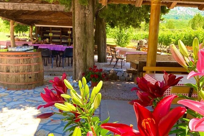 PRIVATE Wine Tour to Konavle country side - Smoked ham, cheese, and a proper picnic-table pause