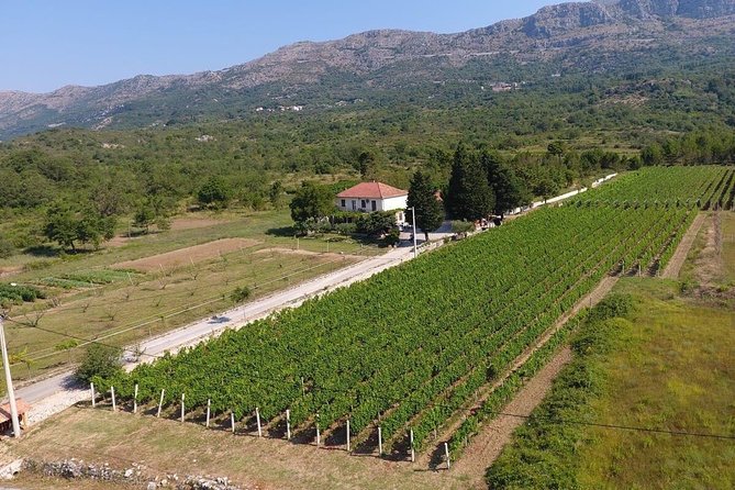 PRIVATE Wine Tour to Konavle country side - The people and animals make the stop personal