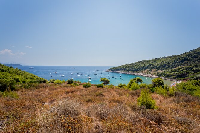 Rent a Boat! (Group Option - Half Day) - Is $1,323.22 good value?