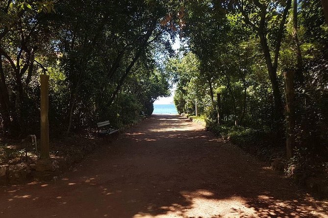 Rent a speed boat and explore beaches and coves of Elaphiti Islands - What to bring, and what not to expect