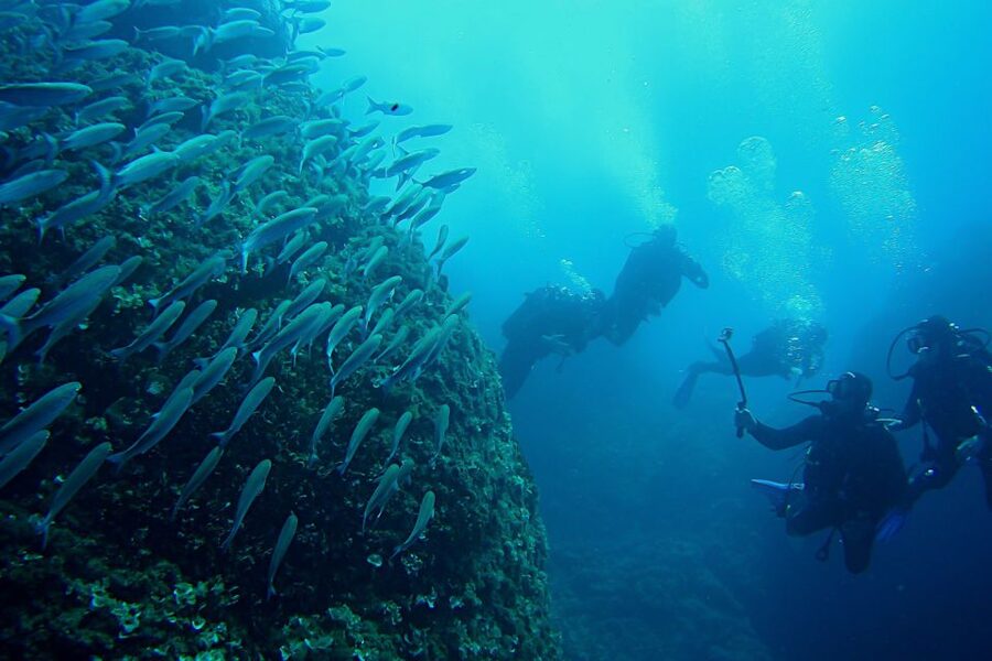 Scuba Diving in Dubrovnik: 1 Dive for Certified Divers - Is $94 good value?
