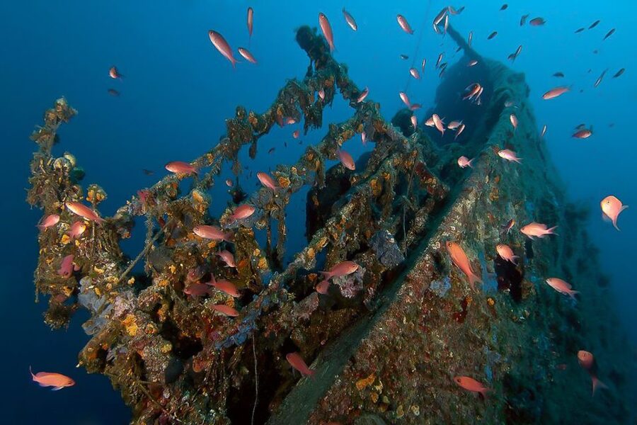 Scuba Diving in Dubrovnik: 1 Dive for Certified Divers - Choosing among 12 Adriatic underwater sites