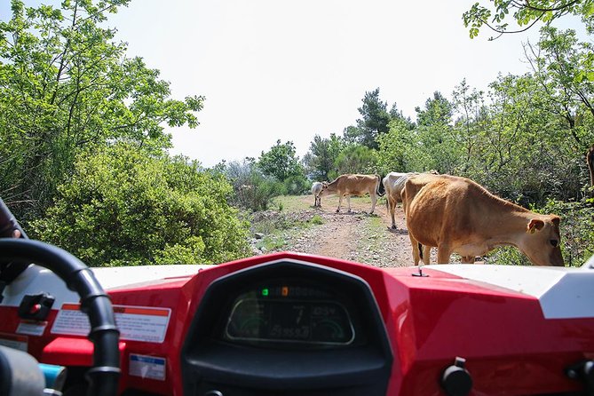 Self-drive Off Road Buggy - Small groups and the guide’s role