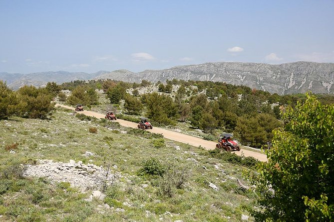Self-drive Off Road Buggy - Who will enjoy this ride most?