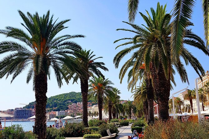 Split and Ston private tour or transfer - A private group can be good value