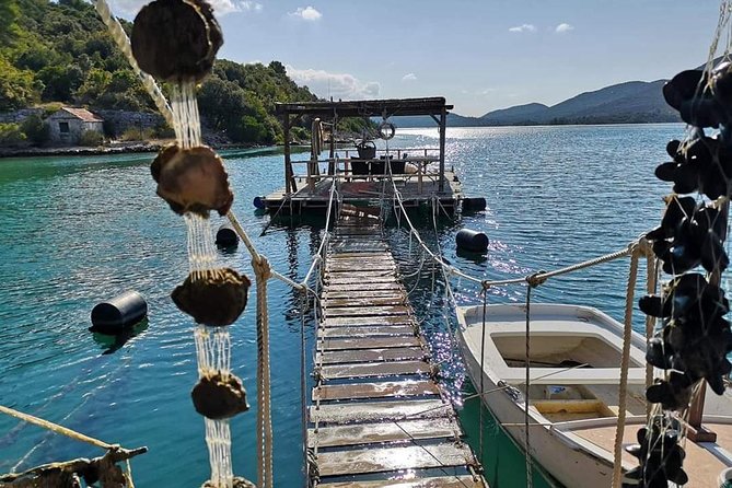 Ston Gastro Tour - Why the oysters make this Dubrovnik day trip special