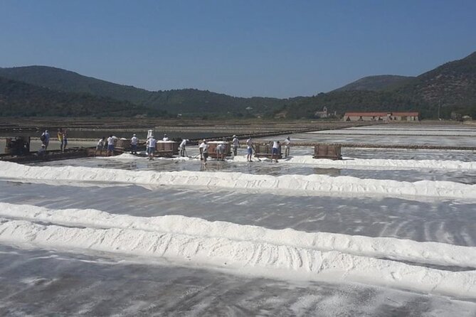 Ston Gastro Tour - Five hours from Dubrovnik, with the driving handled