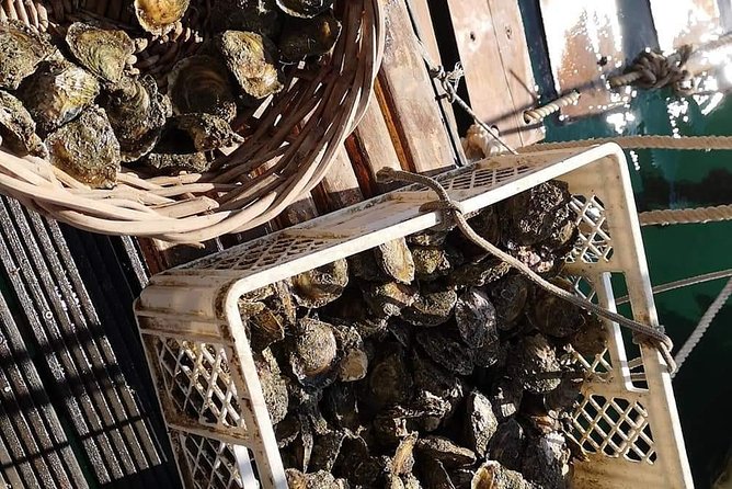 Ston Gastro Tour - Is $240.59 a fair price?