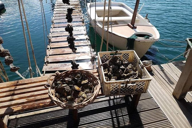 Ston Gastro Tour - Who will enjoy this tour most
