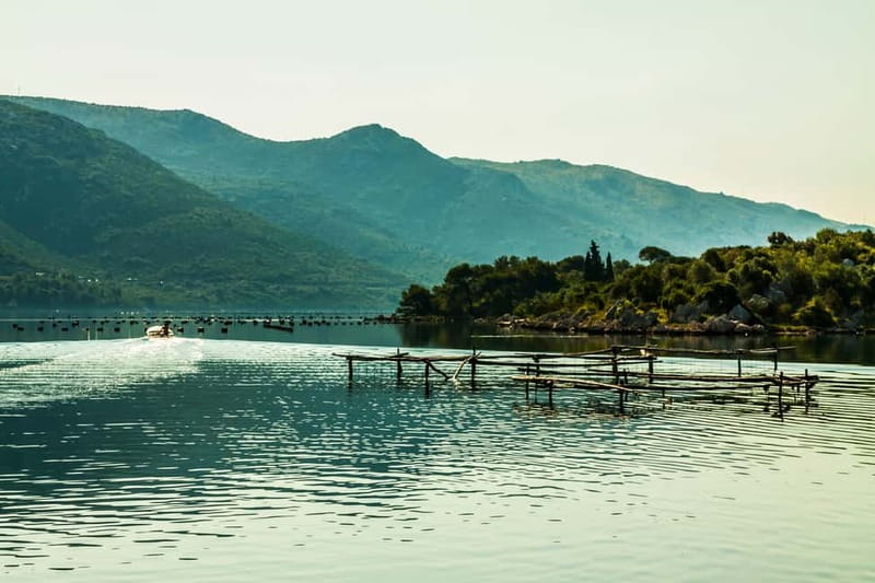 Ston Oyster & Wine Tasting Private Tour From Dubrovnik - Oysters, mussels buzara, and homemade wine