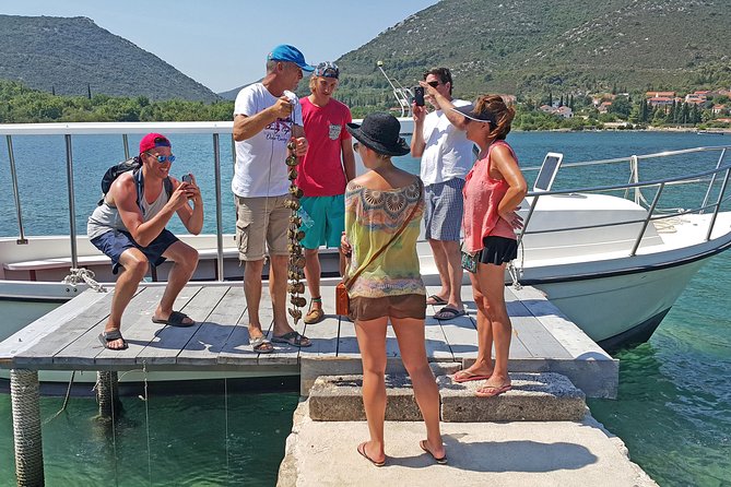 Ston Oysters & Wine Tasting Tour from Dubrovnik - Key points to know before you book