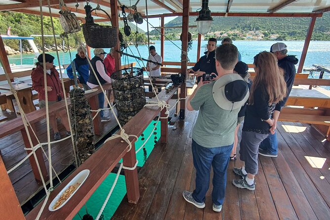 Ston Oysters & Wine Tasting Tour from Dubrovnik - Vinarija Ćurlin and three Croatian wines