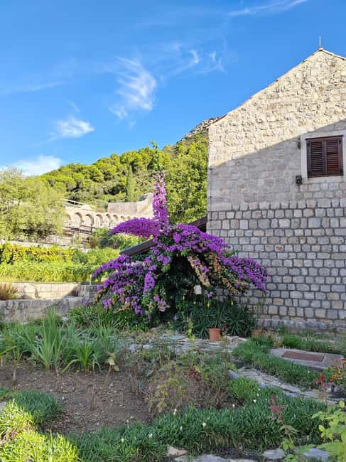 Ston private walking tour with the walls and saltworks visit - Walking the 14th-century walls