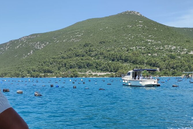 Ston Seafood & Pelješa Wine Boat Tour with Oysters and Mussels - Ston walls and salt lakes in a short visit