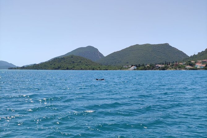 Ston Seafood & Pelješa Wine Boat Tour with Oysters and Mussels - What the $180.72 price really covers