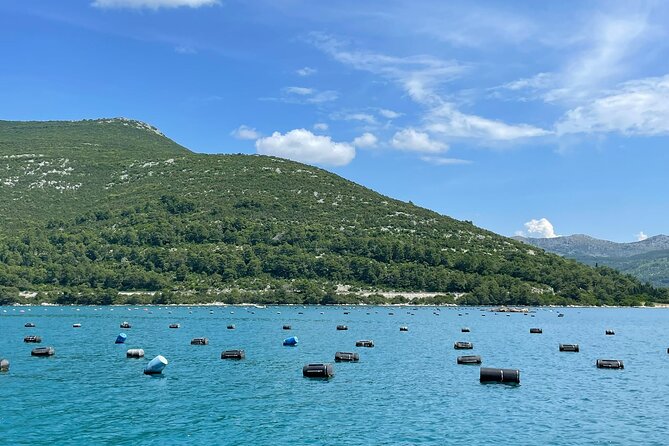 Ston Seafood & Pelješa Wine Boat Tour with Oysters and Mussels - Who should book this Pelješac tour