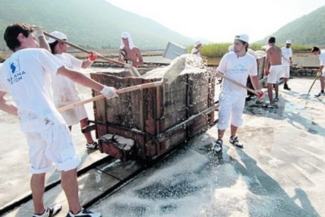 Ston Tour: City Walls, Saltworks, Wine & Adriatic Seafood - Choose oysters or a long seafood lunch in Mali Ston Bay