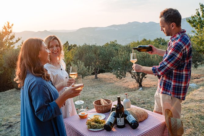Sunset wine tasting in vineyard - The Sunset View Over the Adriatic