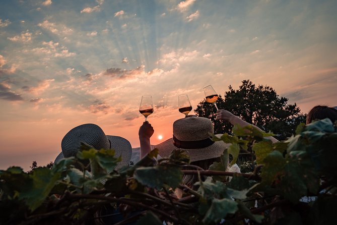 Sunset wine tasting in vineyard - Is $96.55 a Fair Price?