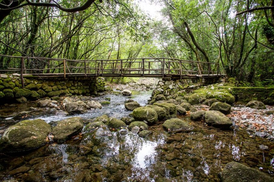 Taste & Tradition of Dubrovnik Countryside - Why Konavle makes a good half-day escape