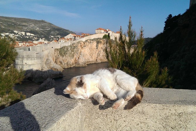 Tour The Game of Throne - Private Driving Tour - Mount Srđ and Dubrovnik from above