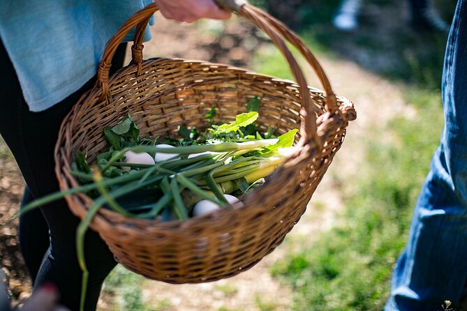 Traditional Cooking Class in Dubrovnik Countryside - Who should book this countryside cooking class