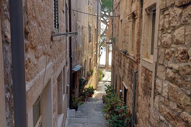 Walking Tour in old town Korcula 1 Hour - Fitting the walk into a day in port