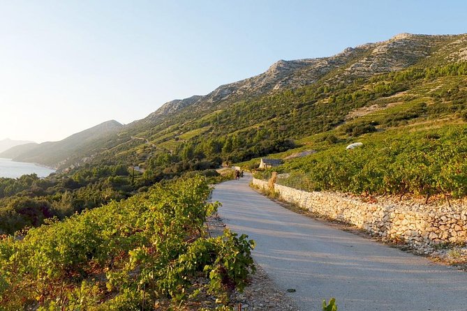 Wine Lover's Tour of Peljesac Peninsula - Why Peljesac makes a good escape from Dubrovnik