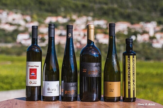 Wine & Sightseeing Tour Korcula - Who will enjoy this most?