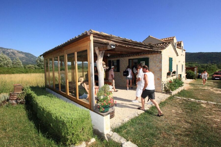 Wine tasting on Peninsula Pelješac wine tour from Dubrovnik - Who will enjoy this Pelješac day trip